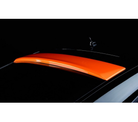 Спойлер накладка на заднее стекло Audi TT 8J RIEGER